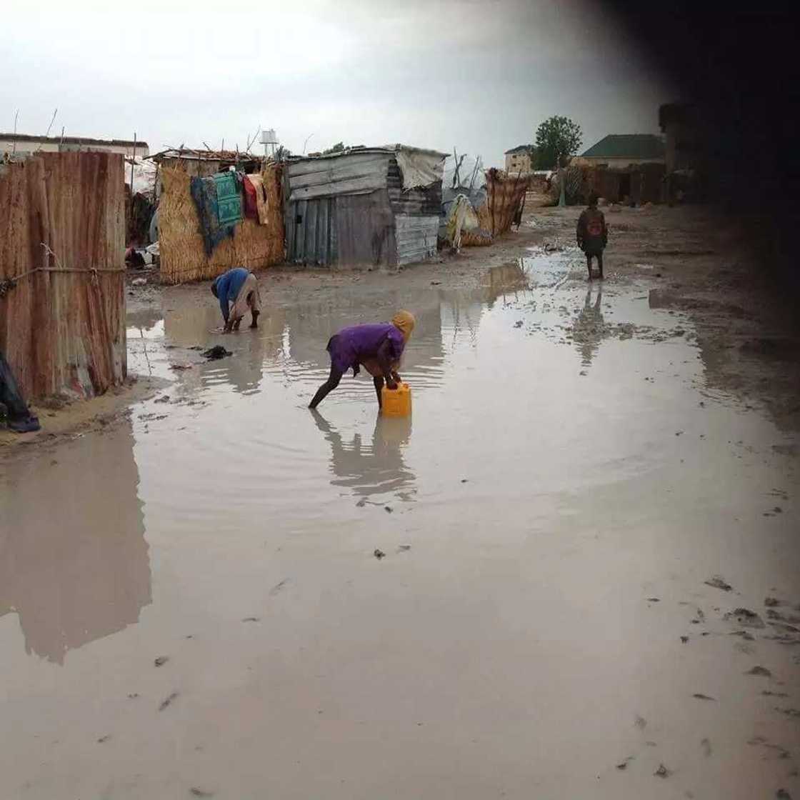 Ciwon hanta 'Hepatitis E' ya"Kashe mata masu ciki hudu a Jihar Borno, 'yan IDP 400 sun kama cutar " Ciwon hanta 'Hepatitis E' ya"Kashe mata masu ciki hudu a Jihar Borno, 'yan IDP 400 sun kama cutar "