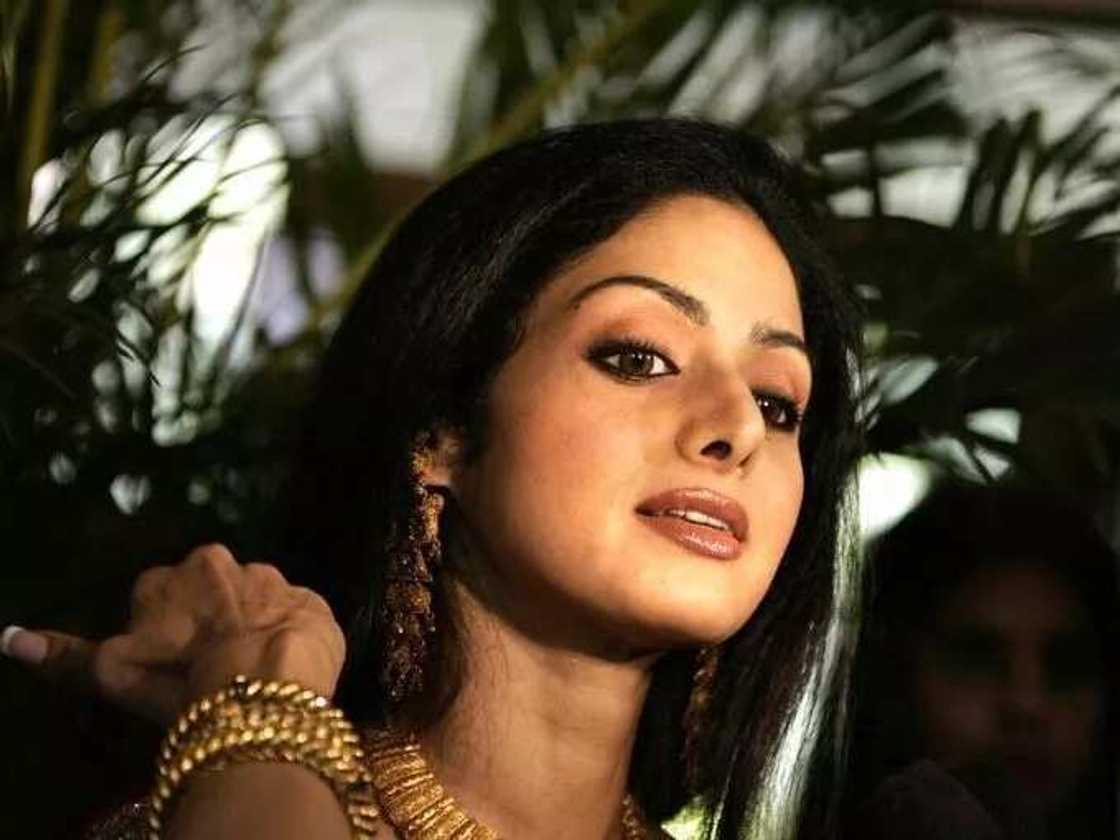 Sridevi Kapoor Bollywood star Sridevi Kapoor Bollywood star