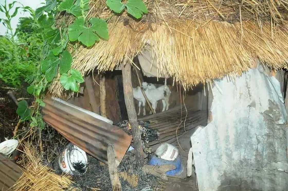 Sojojin Najeriya sun kwato wasu mutane 21 daga hannun 'yan Boko Haram Sojojin Najeriya sun kwato wasu mutane 21 daga hannun 'yan Boko Haram