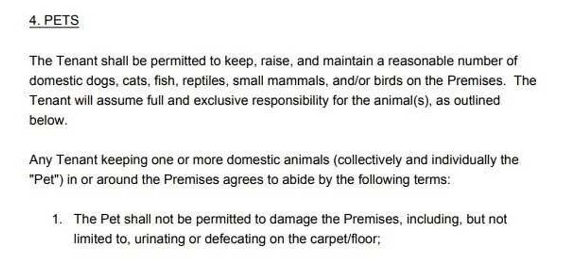 How to write tenancy agreement in Nigeria? How to write tenancy agreement in Nigeria?