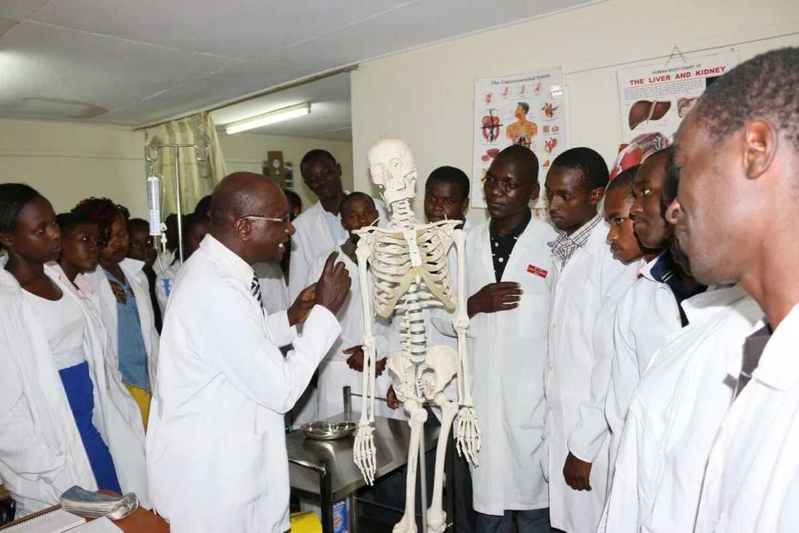 Hanyoyi 5 da azumin sa'o'i 72 ke taimakon garkuwar jikin dan Adam Hanyoyi 5 da azumin sa'o'i 72 ke taimakon garkuwar jikin dan Adam