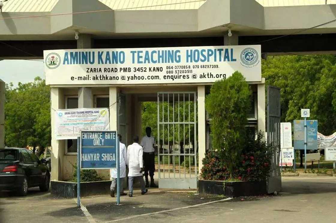 Gidauniyar musulunci ta dauki nauyin yi wa mutane 250 tiyata kyauta a asibitin Aminu Kano Gidauniyar musulunci ta dauki nauyin yi wa mutane 250 tiyata kyauta a asibitin Aminu Kano