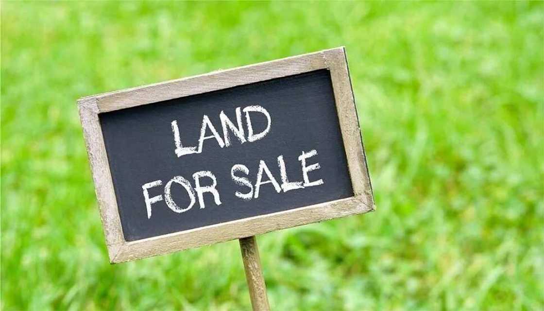 Land for sale