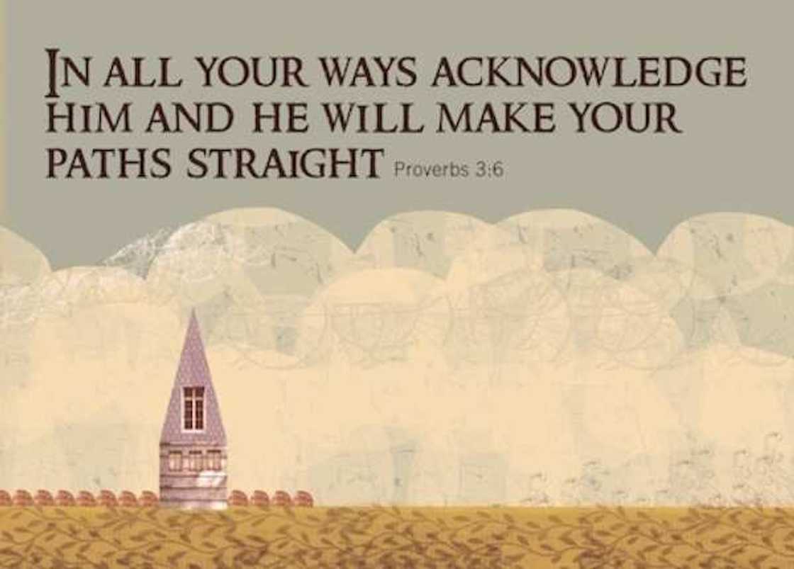 quotes from the Bible quotes from the Bible