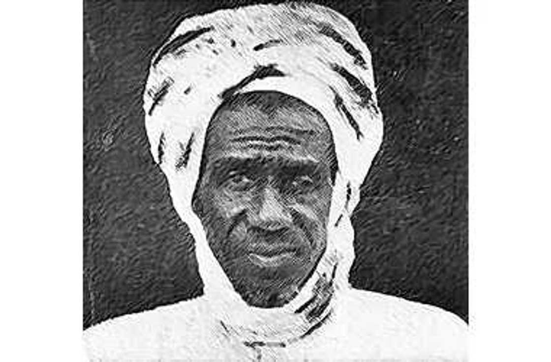 Arewa na bukatan dalar gyada don cigaban tattalin arzikin ta? Arewa na bukatan dalar gyada don cigaban tattalin arzikin ta?