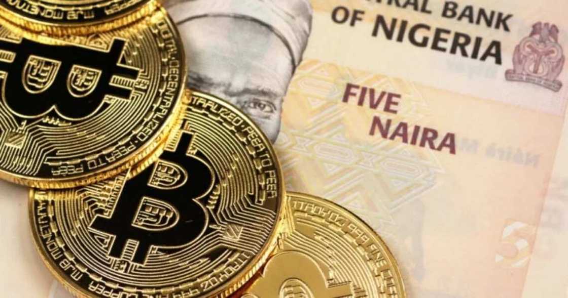 I love you: Romance scammers collected over N57bn in crypto last year I love you: Romance scammers collected over N57bn in crypto last year