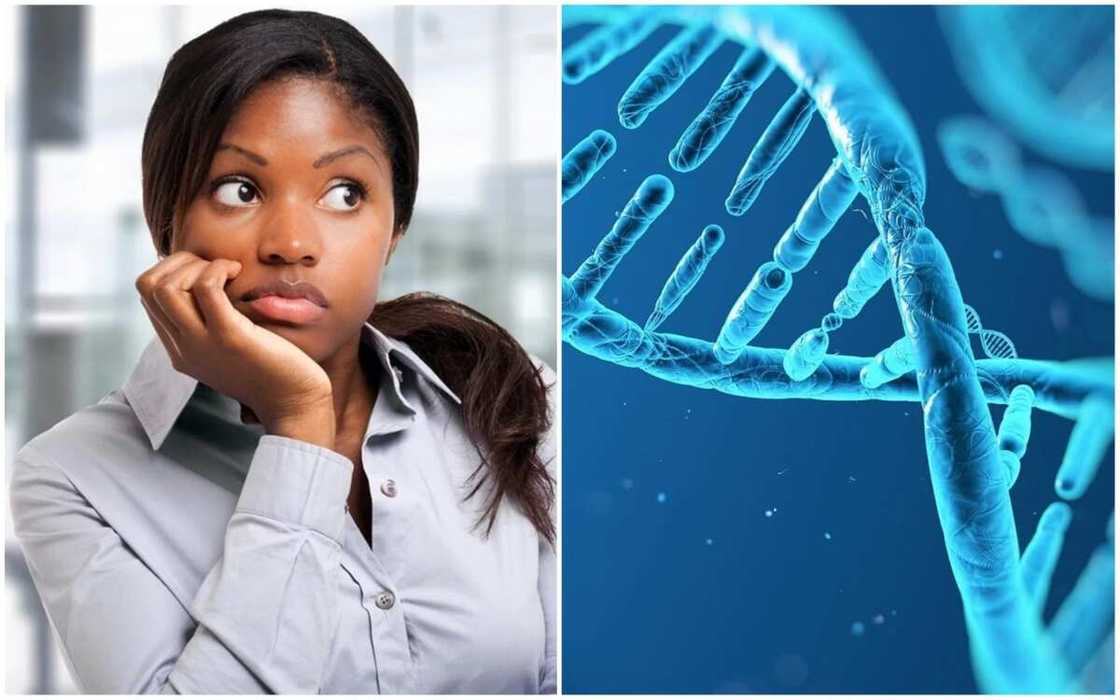 genotype test genotype test