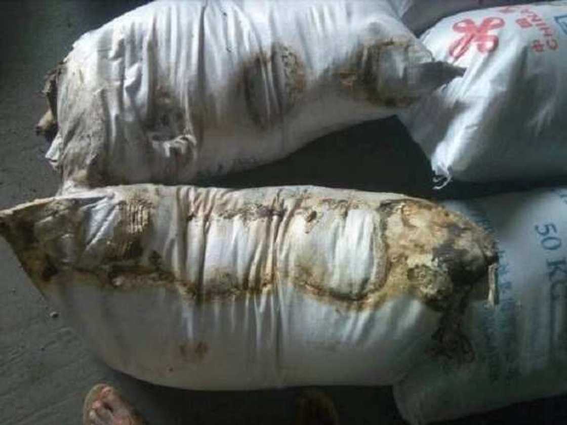 Shinkafar da China ta aiko wa 'yan gudun hijira ta rube a suto din NEMA, bayan sunki rabarwa Shinkafar da China ta aiko wa 'yan gudun hijira ta rube a suto din NEMA, bayan sunki rabarwa