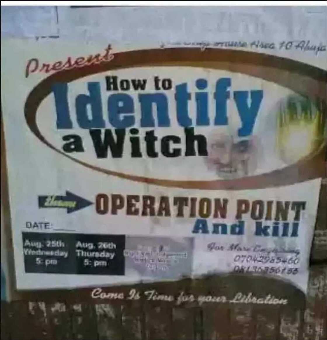How to identify a witch How to identify a witch