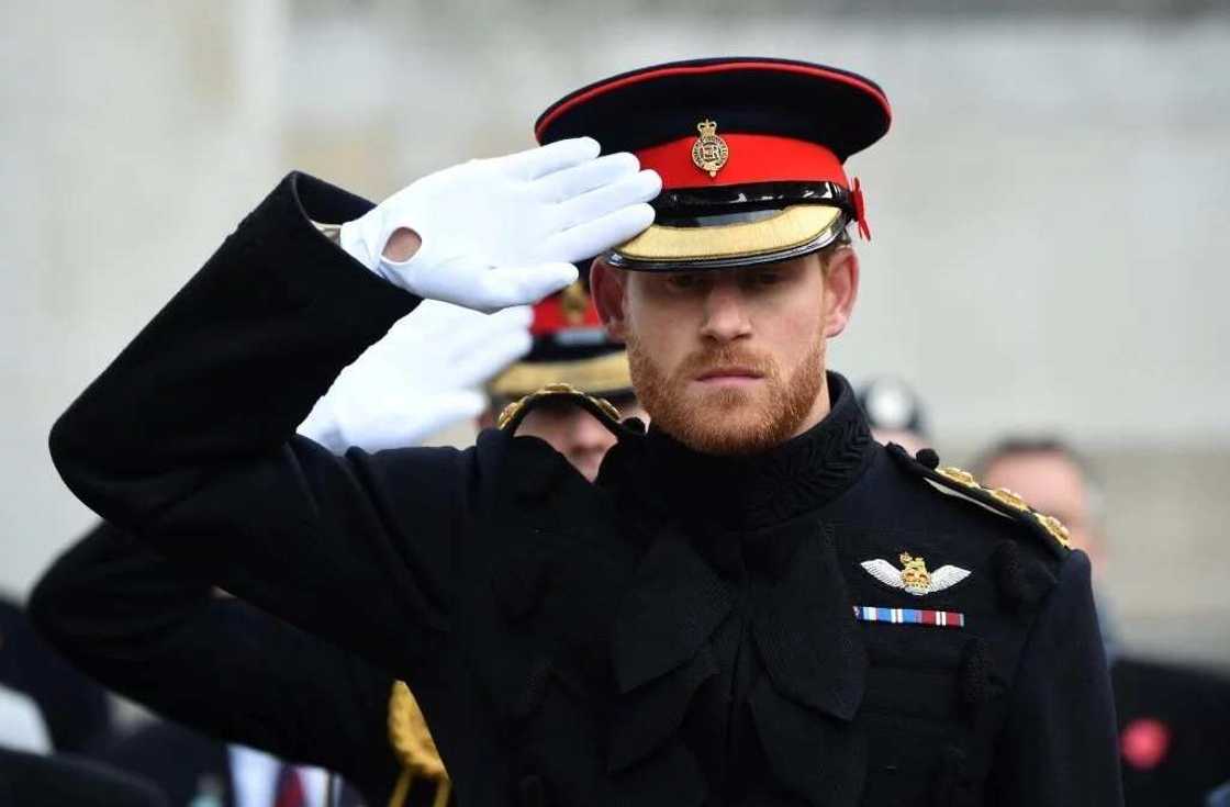 Royal wedding: 30 interesting facts about Prince Harry of Wales Royal wedding: 30 interesting facts about Prince Harry of Wales