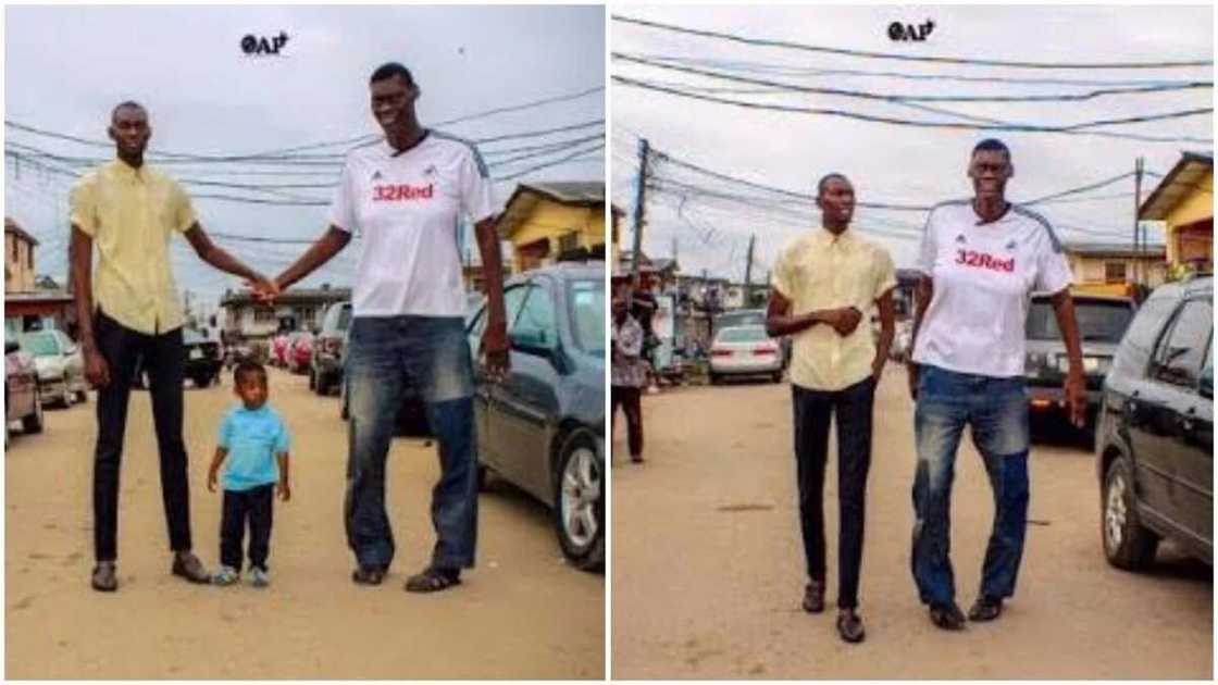 Tallest man Tallest man