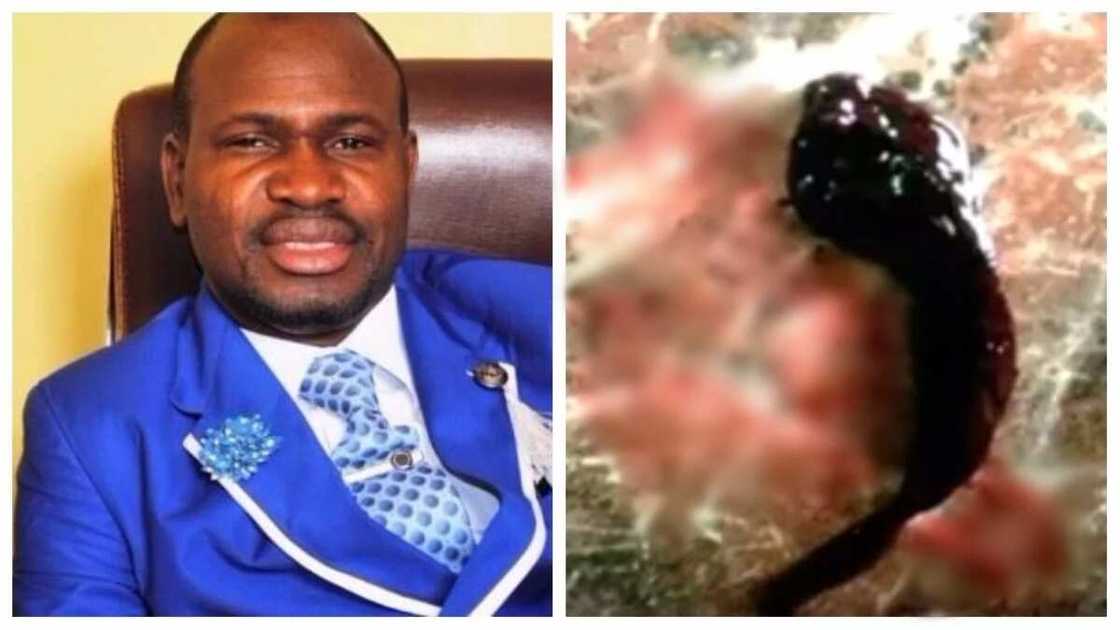 Woman allegedly delivers catfish in Church after 16 months pregnancy (video) Woman allegedly delivers catfish in Church after 16 months pregnancy (video)