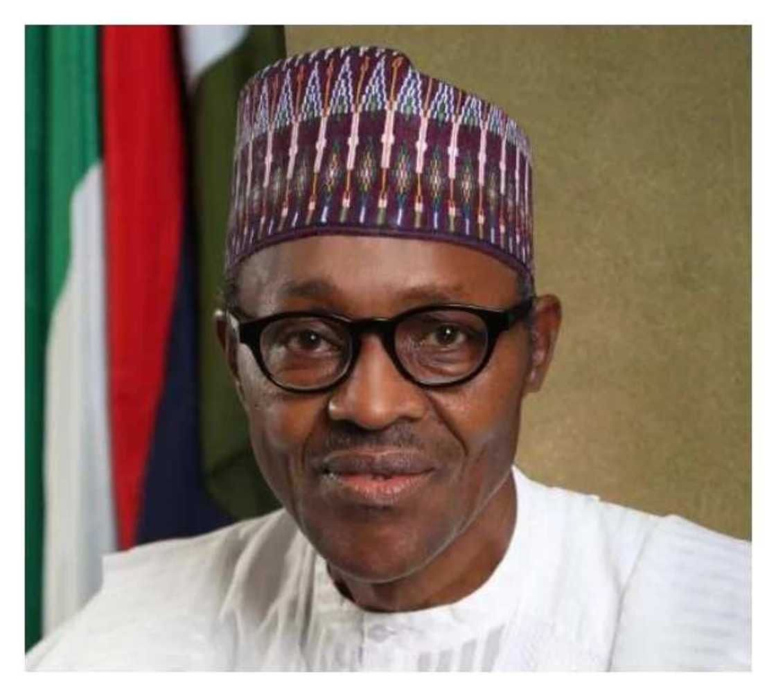 Buhari spits fire, threatens to deal with politicians with fake certificates Buhari spits fire, threatens to deal with politicians with fake certificates