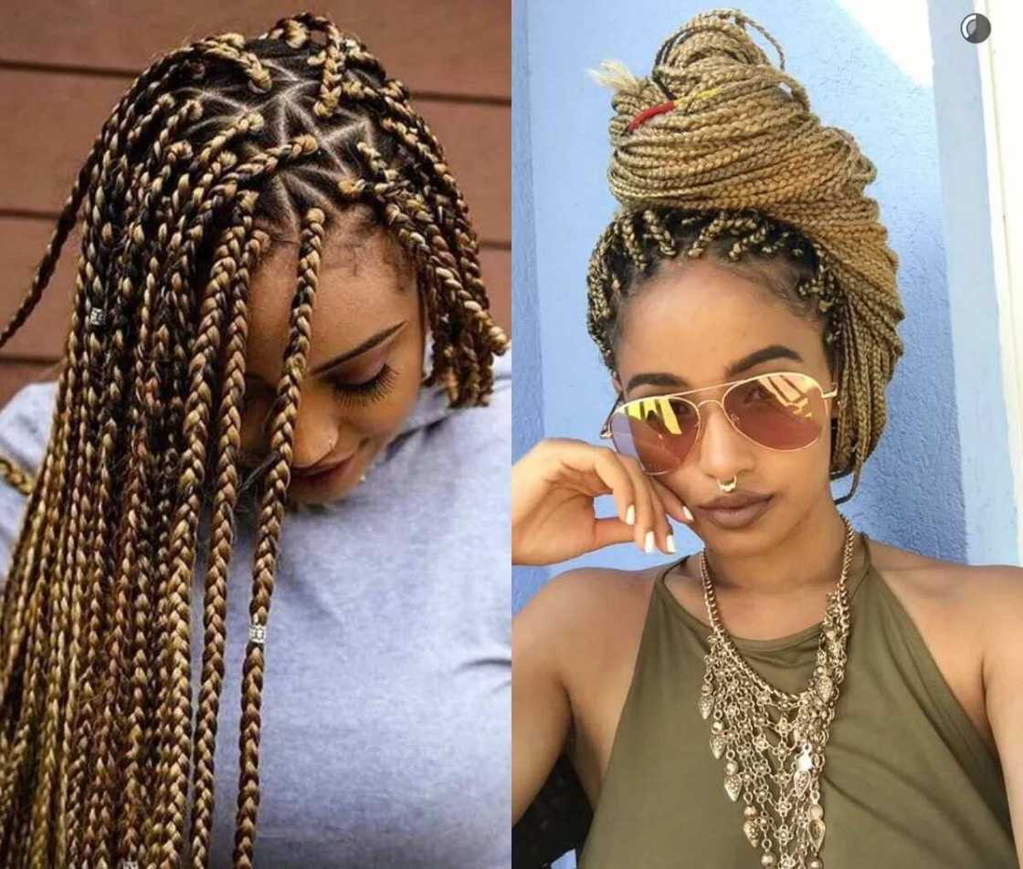 Highlighted braids