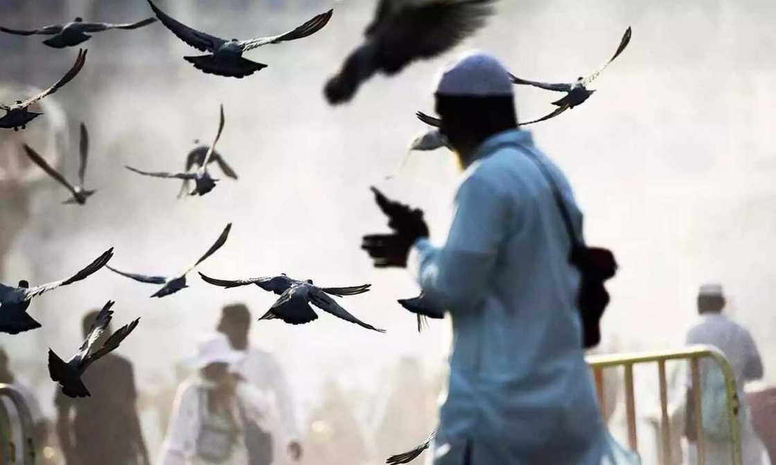 Muslims Gather At Mount Arafat To Mark Peak Of Hajj 2015 Muslims Gather At Mount Arafat To Mark Peak Of Hajj 2015