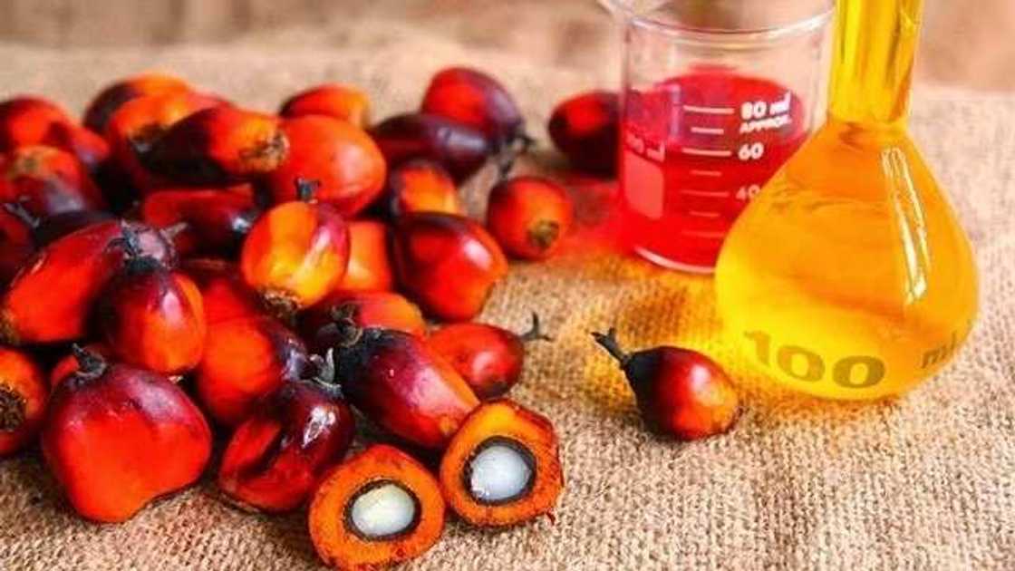 Companies that buy palm oil in Nigeria