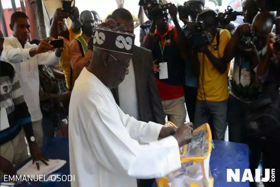 LIVE UPDATES: APC leader Bola Tinubu arrives Ikeja Polling Unit to cast his vote (photos, video) LIVE UPDATES: APC leader Bola Tinubu arrives Ikeja Polling Unit to cast his vote (photos, video)