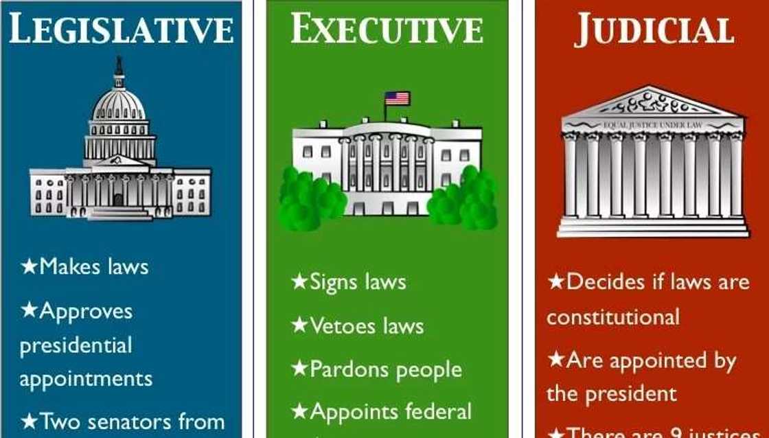 Features of Presidential System of Government in Nigeria! Features of Presidential System of Government in Nigeria!