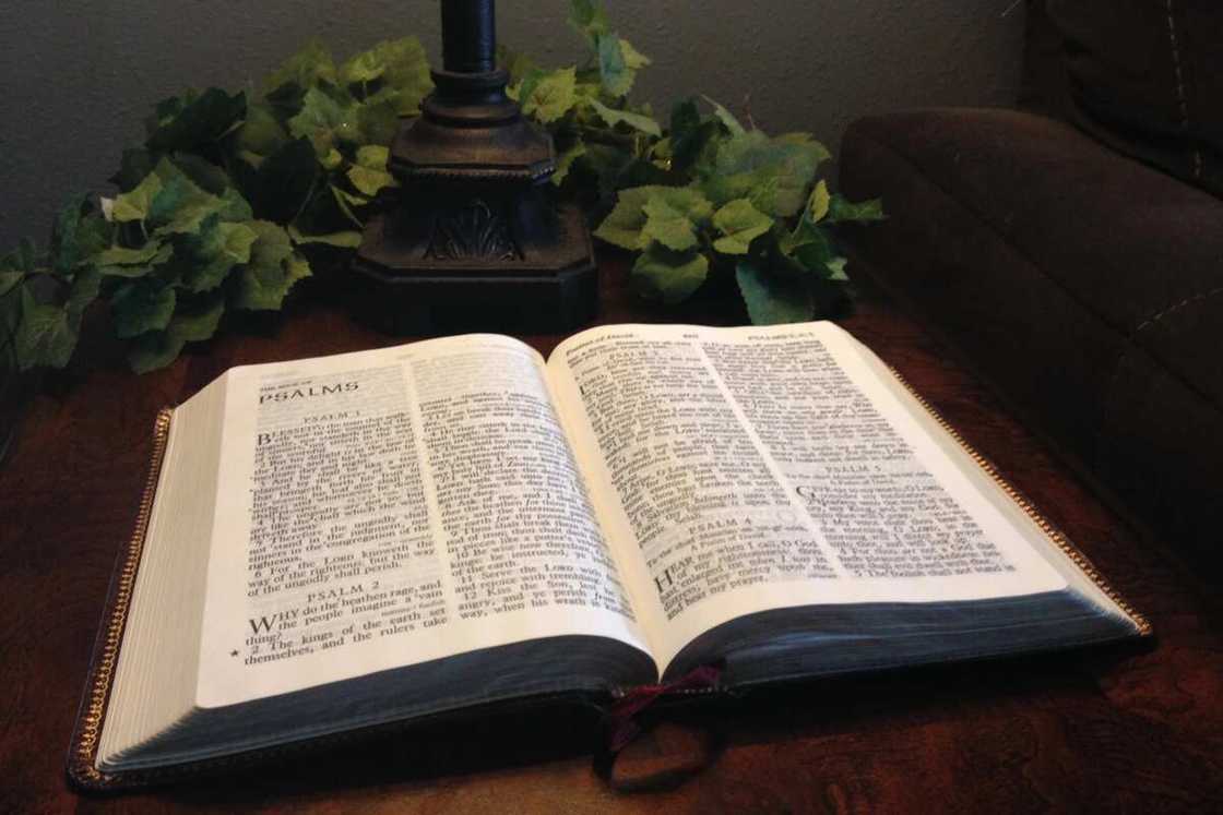 what does the bible say about family what does the bible say about family