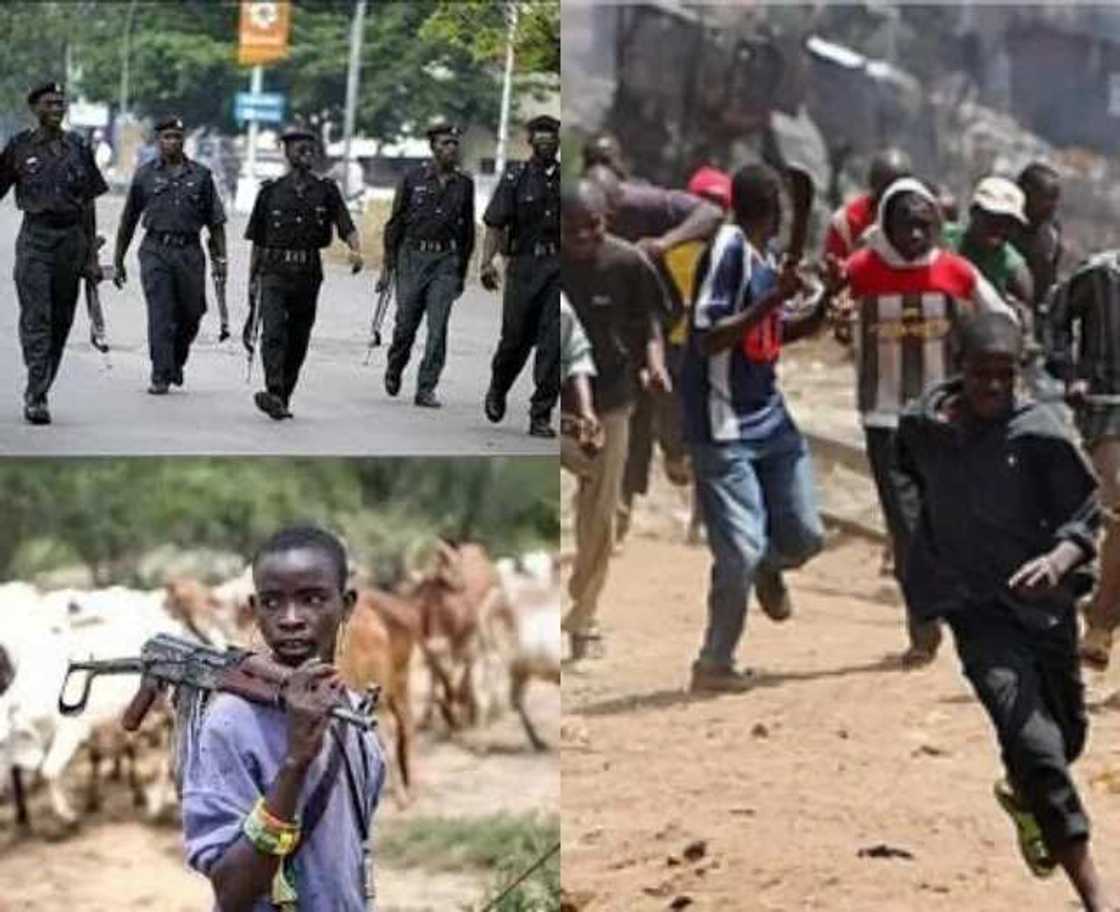 Delta state police command invites herdsmen for meeting