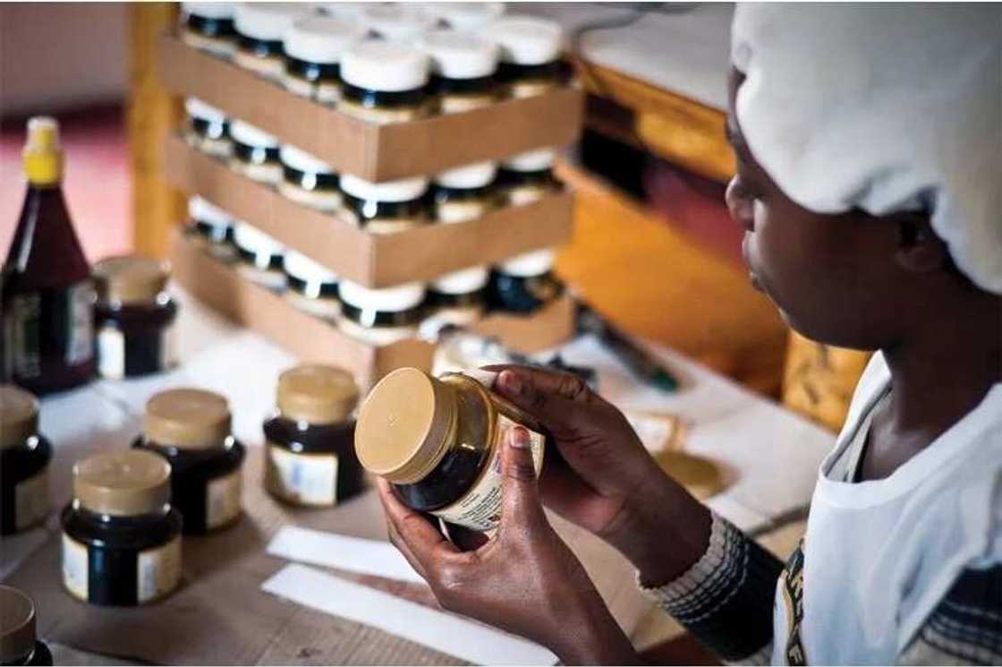 Food manufacturing in Nigeria Food manufacturing in Nigeria