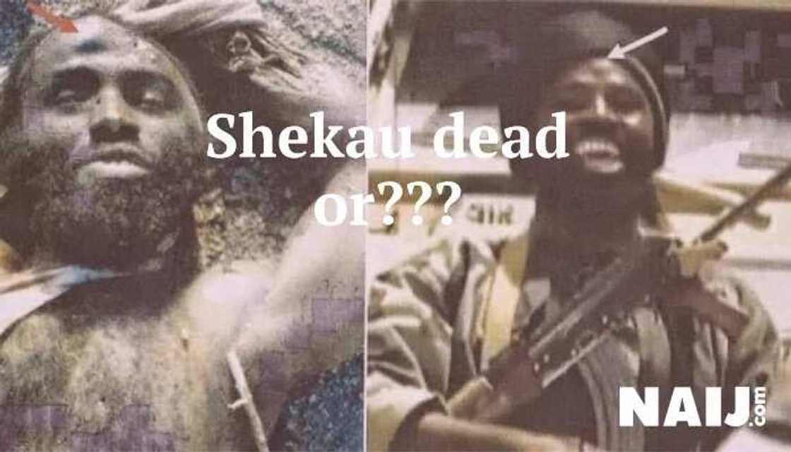 Controversial death: 5 times BH leader Shekau has been killed Controversial death: 5 times BH leader Shekau has been killed