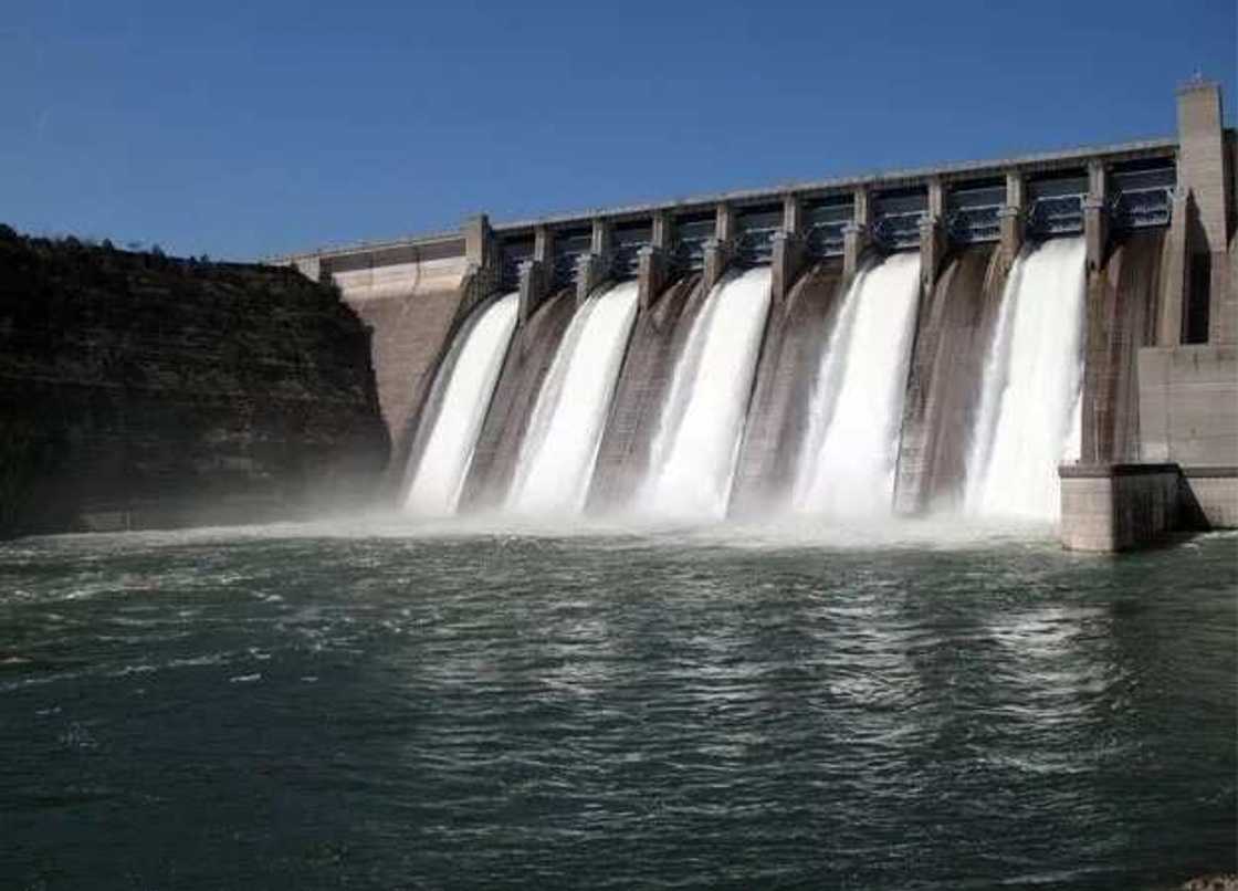 Manoma Timatir a jihar Kano sun yi asara ta naira miliyan dubu daya biyo bayan rufe madatsar ruwan Tiga Manoma Timatir a jihar Kano sun yi asara ta naira miliyan dubu daya biyo bayan rufe madatsar ruwan Tiga