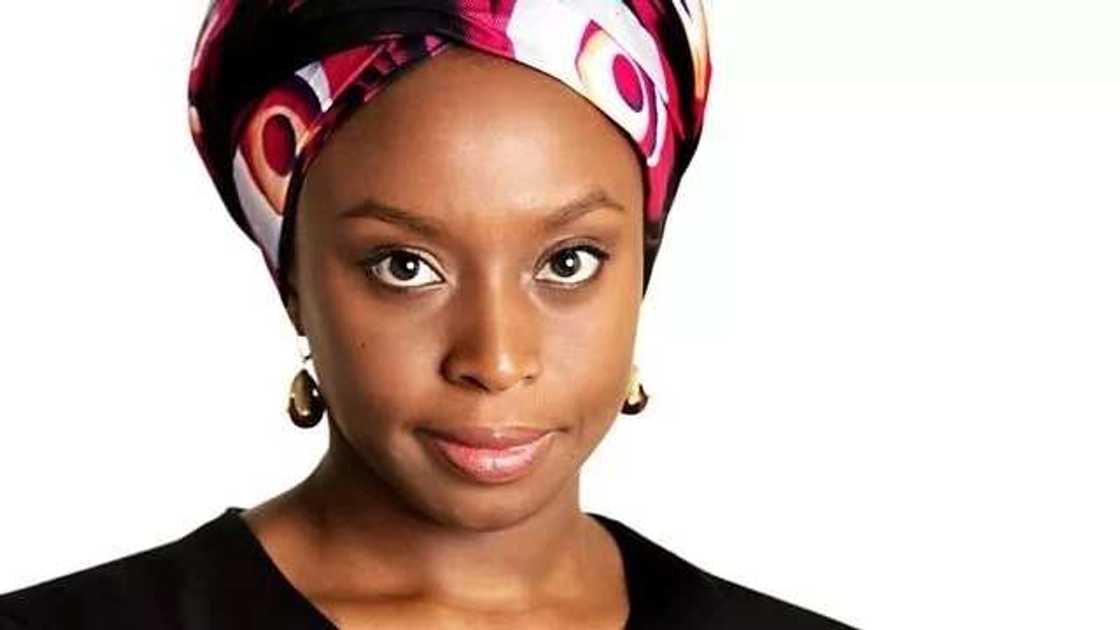 Success stories of entrepreneurs in Nigeria: Chimamanda Adichie Success stories of entrepreneurs in Nigeria: Chimamanda Adichie