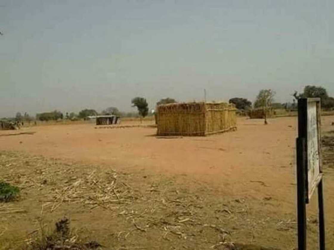 Tabarbarewar ilimi: Duba hotunan wata makarantar Firamaren arewa da babu ko bulo Tabarbarewar ilimi: Duba hotunan wata makarantar Firamaren arewa da babu ko bulo