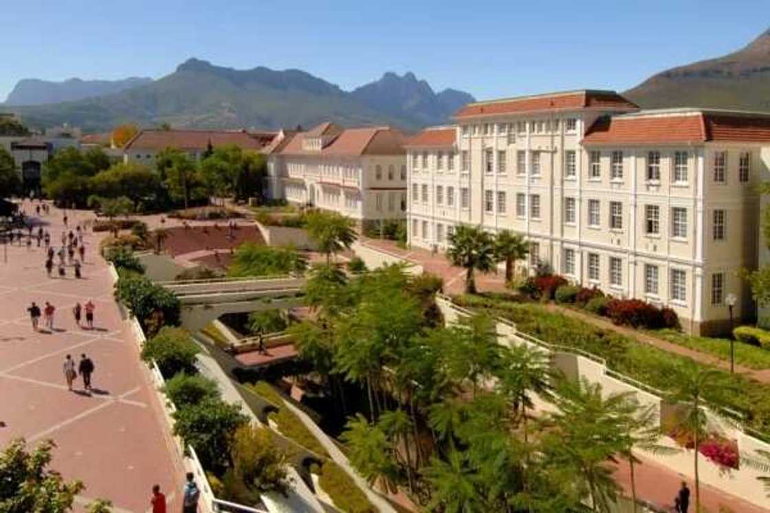 Stellenbosch University Stellenbosch University