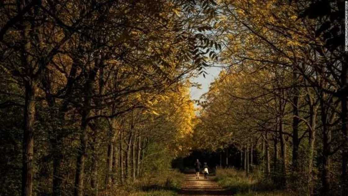 Babban filin shakatawa na Bois de Vincennes, ya shahara wajen tara karuwai, da aka yo safarar su