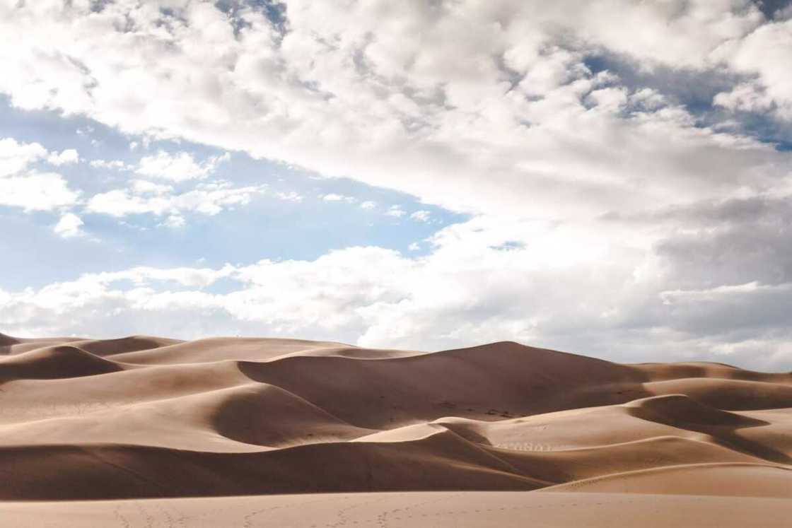 Desert's edge is found in Nigeria