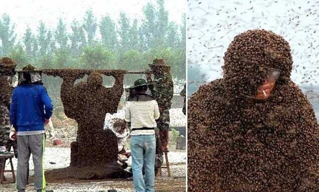 Most Wonderful Guinness World Records Ever Broken Most Wonderful Guinness World Records Ever Broken