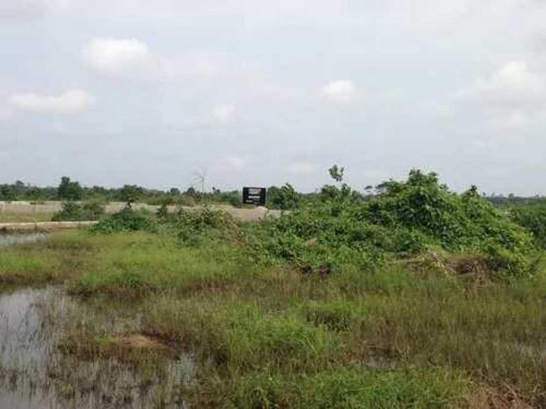 10 Most Fraudulent Places To Buy A Land In Lagos 10 Most Fraudulent Places To Buy A Land In Lagos
