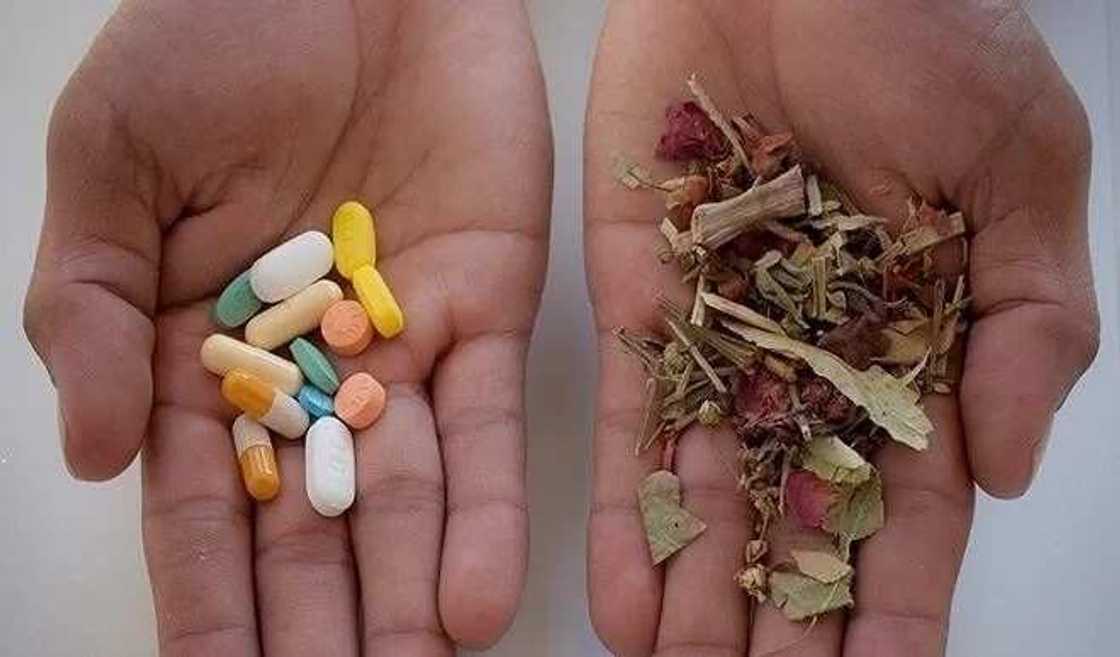 An gano wata babbar tashar Mota a Kano da masu sayar da kwayoyi ke cin Karen su babu babbaka An gano wata babbar tashar Mota a Kano da masu sayar da kwayoyi ke cin Karen su babu babbaka