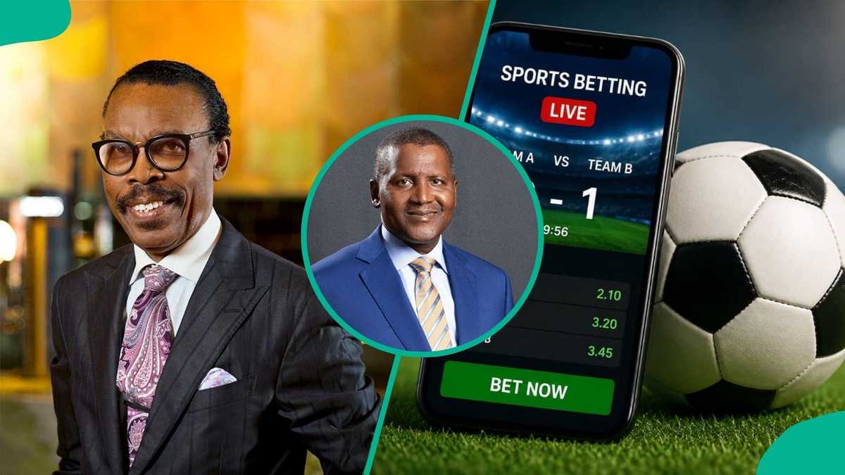 Rewane explains how Dangote Refinery shares is better than gambling and football betting