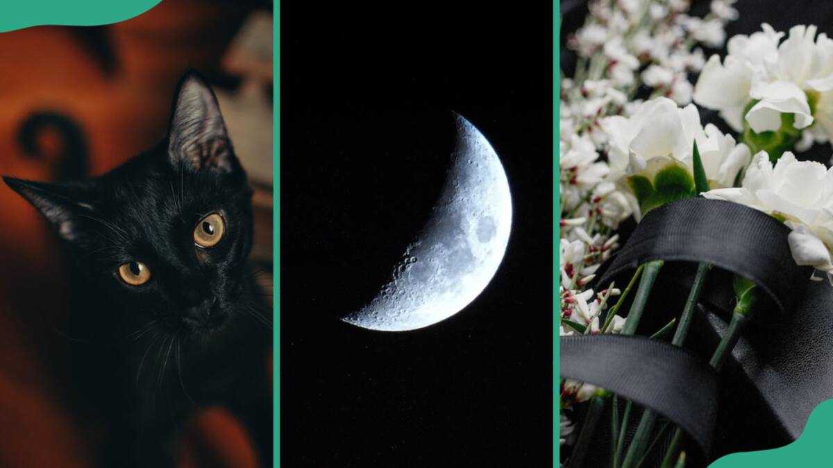 Death Symbolized 20 symbols of death across different cultures and media - Legit.ng