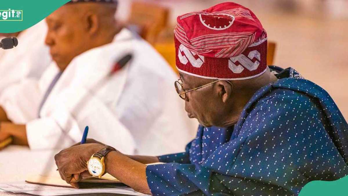 Breaking: Former UNILAG VC Ogundipe appointed NUC chairman by Tinubu, see full details