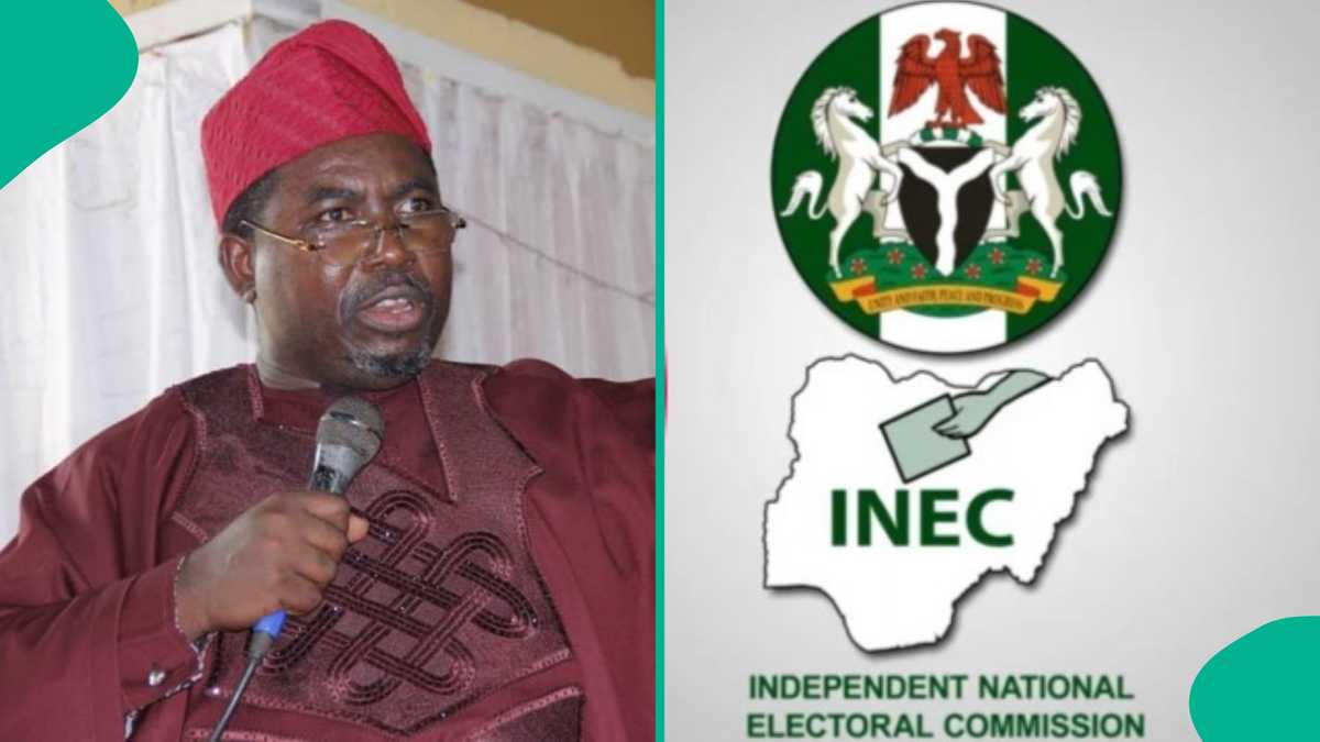 INEC finally updates website on SDP leadership after court order on internal issues