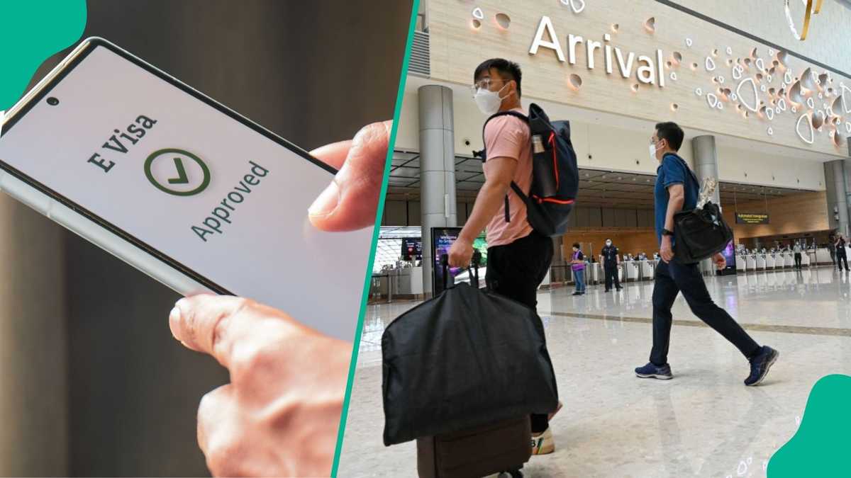 List of Asian Countries Offering E-Visa Options to Nigerian Travellers