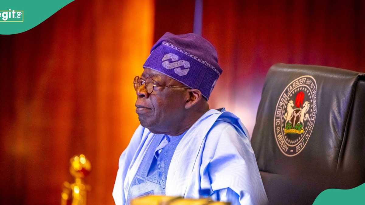 Fresh development involving Tinubu's criminal records emerges ahead of 2027 as Reno Omokri speaks out