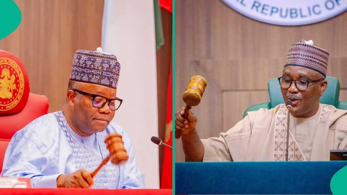 What SERAP told NASS as move to 'jail eligible Nigerians who refuse to vote' advances