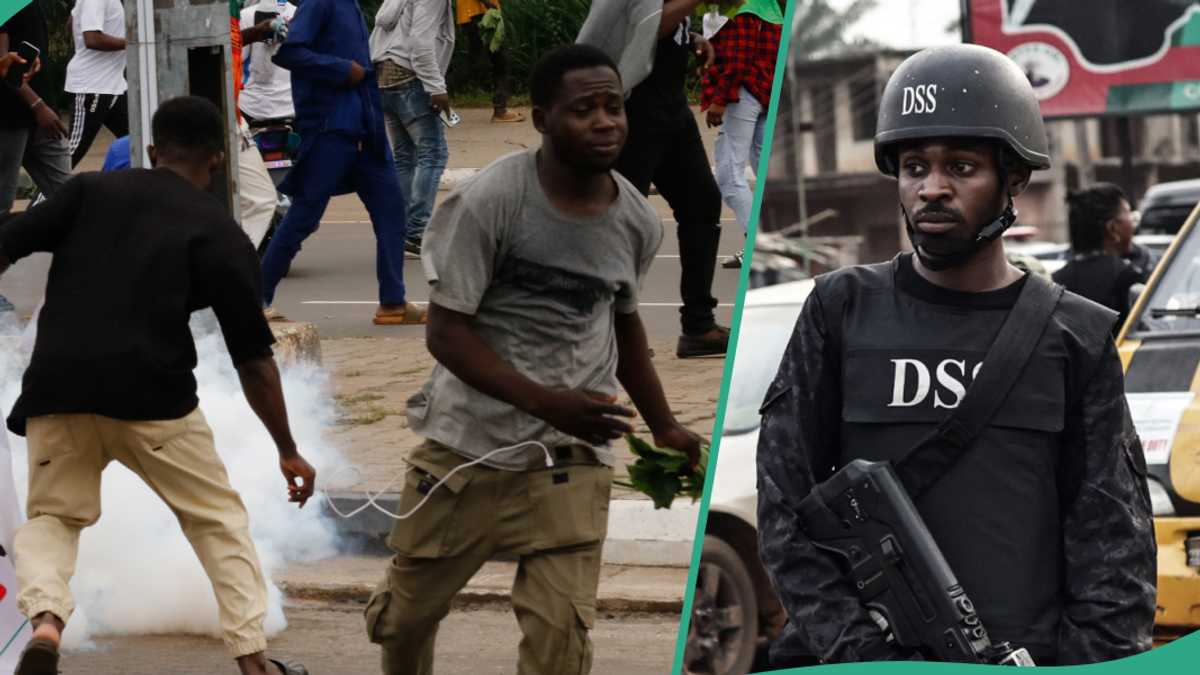 FULL LIST: 3 End bad governance in Nigeria protest leaders reportedly arrested by DSS