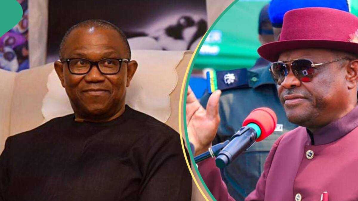 "Is that how you win an election?": Wike fires back at Peter Obi