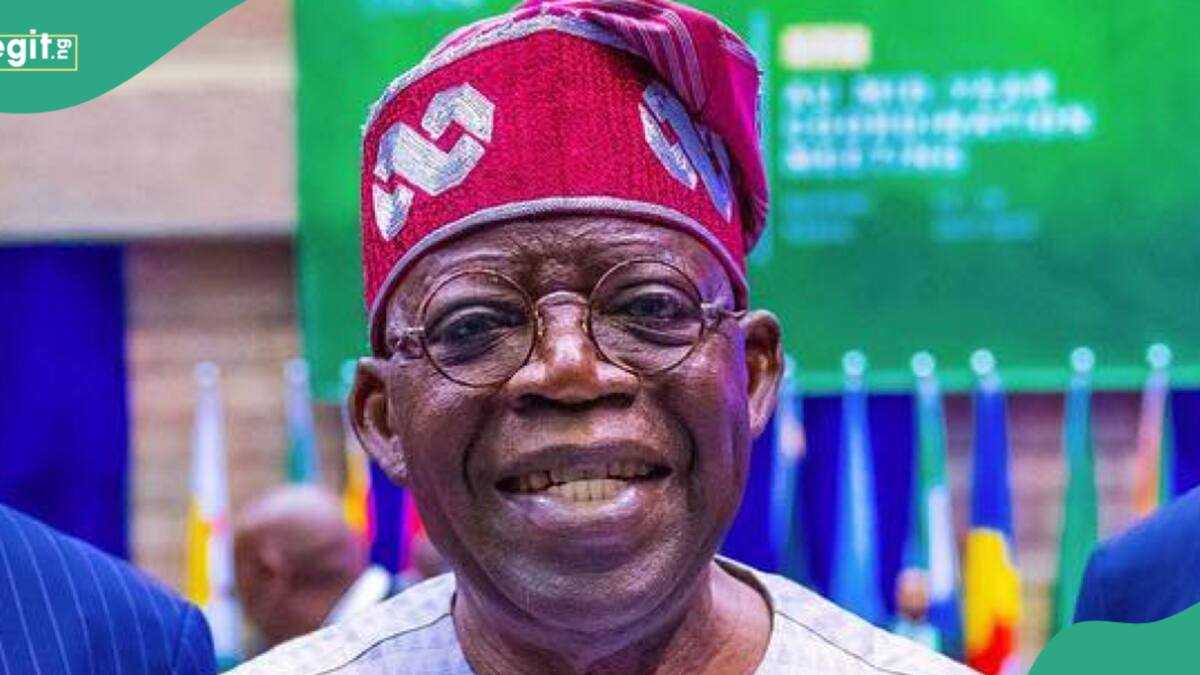 JUST IN: Tinubu Makes Fresh Appointment, "Strategic Decision" - Legit.ng