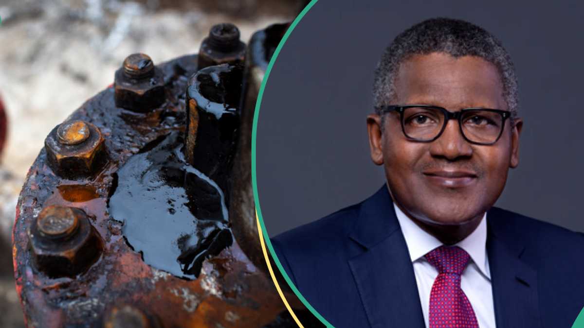 Shocking! More competition for Dangote refinery as FG declares continuation of fuel importation