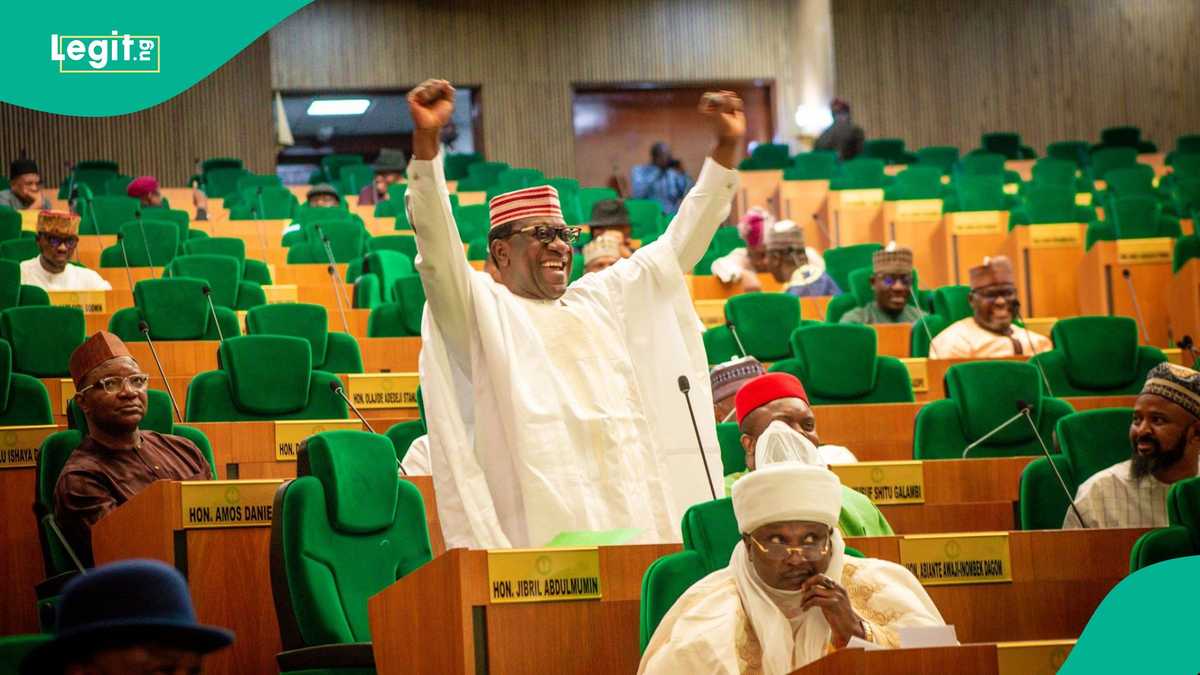 Tinubu vs Kwankwaso: Powerful Kano lawmaker predicts 2027 votes