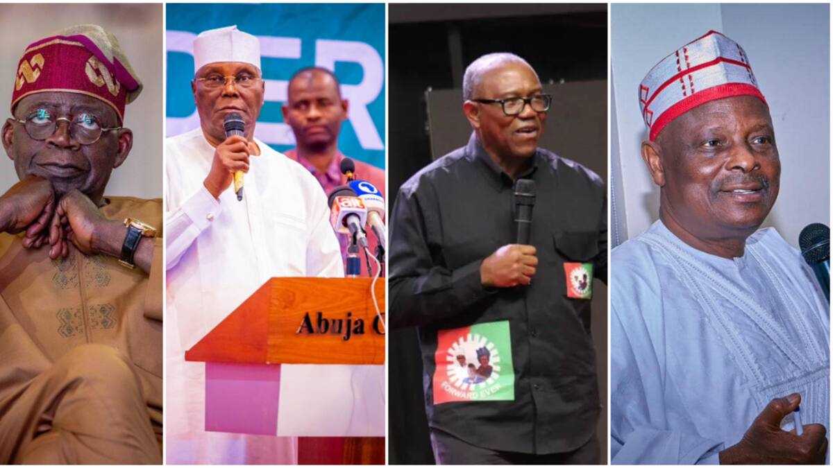 Full list of states where Tinubu, Obi, Atiku got highest votes in 2023 election