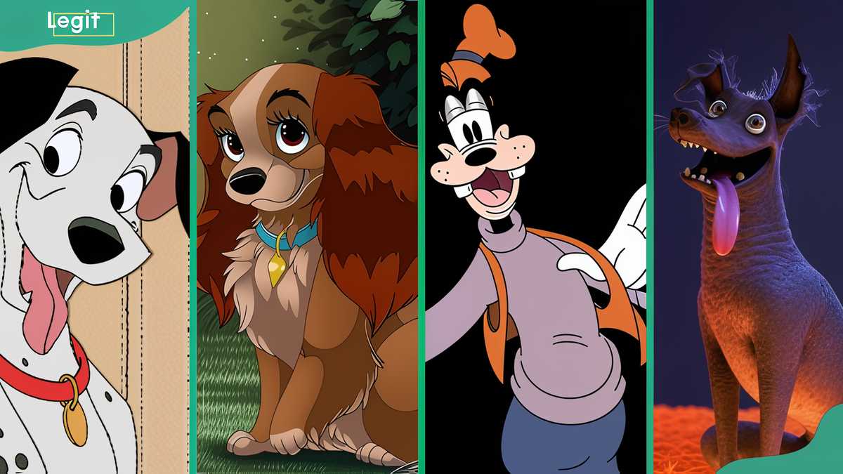 Iconic Visual Dogs 20+ iconic Disney dogs that defined our childhoods - Legit.ng