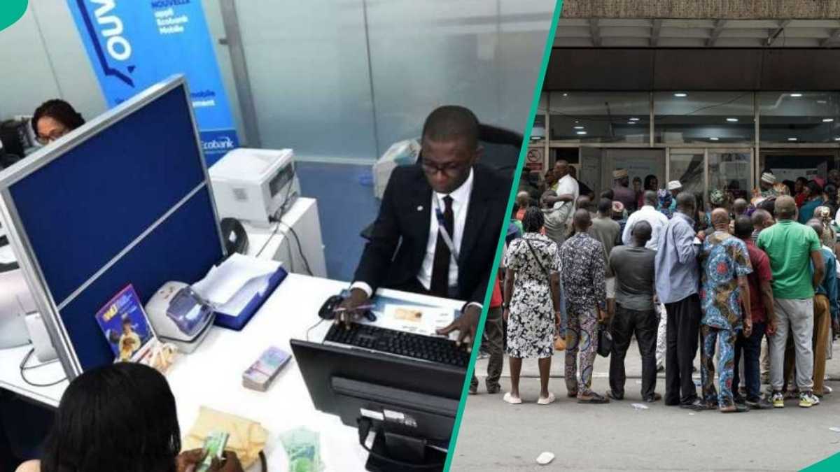 CBN Announces New BVN Rules, Group Warns It Will Affect Customers Bank ...